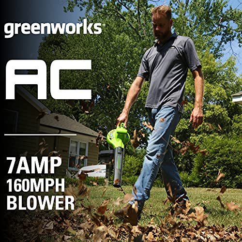 Greenworks Electric Blower 160 MPH/150 CFM
