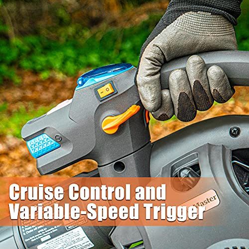 Gas-Powered Leaf Blower with Electric Start & Cruise Control