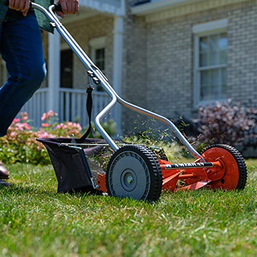 14-Inch Push Reel Lawn Mower by American Lawn Mower Company