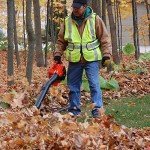 Echo's Handheld Gas Leaf Blower, Powerful & Lightweight