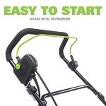 Greenworks 13 Amp 14-Inch Corded Dethatcher
