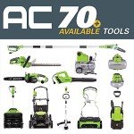 Greenworks 13 Amp 14-Inch Corded Dethatcher