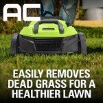 Greenworks 13 Amp 14-Inch Corded Dethatcher
