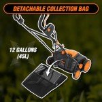 WEN 15-Inch 13-Amp Electric Dethatcher and Scarifier