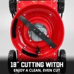 PowerSmart 18-Inch Gas Lawn Mower with 3-in-1 Feature