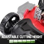 PowerSmart 21-Inch Gas Lawn Mower with Bagging