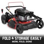 PowerSmart 21-Inch Gas Lawn Mower with Bagging