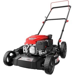 AMERISUN 21" Gas Lawn Mower with Mulching & Side Discharge