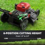 AMERISUN 21" Gas Lawn Mower with Mulching & Side Discharge