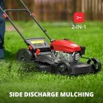 AMERISUN 21" Gas Lawn Mower with Mulching & Side Discharge