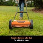 LawnMaster 14-Inch Push Reel Mower with 5 Blades