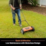 LawnMaster 14-Inch Push Reel Mower with 5 Blades