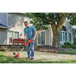 BLACK+DECKER Electric String Trimmer (BESTA510)