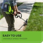 Greenworks 40V 8" Brushless Edger with 4.0Ah_DECLS_USB