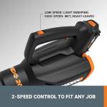 WORX 20V Cordless Leaf Blower - WG547