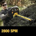 DEWALT Hedge Trimmer DCHT820B
