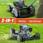 SENIX 21-Inch 2-in-1 Gas Lawn Mower