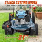 SENIX 21-Inch 2-in-1 Gas Lawn Mower