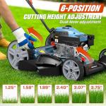 SENIX 21-Inch 2-in-1 Gas Lawn Mower
