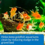 API Goldfish Aquarium Cleaner - 118 ml Bottle