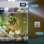 KETOTEK Waterproof Digital Thermometer for Pets