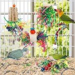 Parrot Chew Toy with Foraging Fun