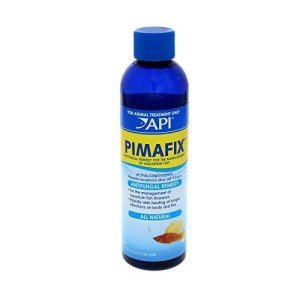 API Pimafix Antifungal Treatment for Fish 118ml