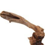 Small Sinkable Driftwood Decor for Fish Tanks