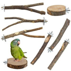 8-Piece Natural Wood Bird Perch Stand Set