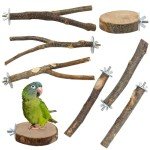 8-Piece Natural Wood Bird Perch Stand Set