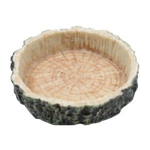 Reptile Feeding Bowl for Lizards and Amphibians