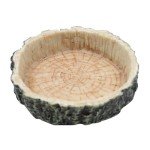 Reptile Feeding Bowl for Lizards and Amphibians