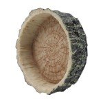 Reptile Feeding Bowl for Lizards and Amphibians