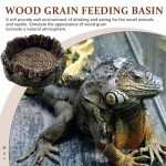 AIMALL Resin Drinking Basin for Reptiles