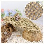 2 Pack Triangular Hammock for Bearded Dragons