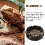 AIMALL Resin Drinking Basin for Reptiles