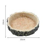 Reptile Feeding Bowl for Lizards and Amphibians