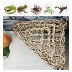 2 Pack Triangular Hammock for Bearded Dragons