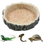 Reptile Feeding Bowl for Lizards and Amphibians