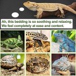 Reptile Carpet Mat for Bearded Dragon and Tortoise