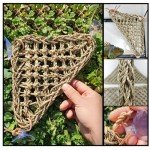 2 Pack Triangular Hammock for Bearded Dragons