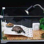 Reptile Feeding Bowl for Lizards and Amphibians