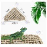 2 Pack Triangular Hammock for Bearded Dragons