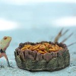 AIMALL Resin Drinking Basin for Reptiles