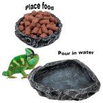 AIMALL Reptile Feeding Dish - Non-Slip Food & Water Bowl