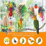 Parrot Chew Toy with Foraging Fun