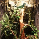 Flexible Reptile Vines for Terrarium Decor