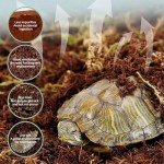 Coconut Fiber Substrate Brick for Reptiles