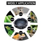 AIMALL Reptile Feeding Dish - Non-Slip Food & Water Bowl