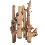 Natural Forest Branch Reptile Decor - 4 Pack